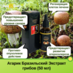Экстракт грибов Агарик Бразильский – комплексная поддержка вашего организма