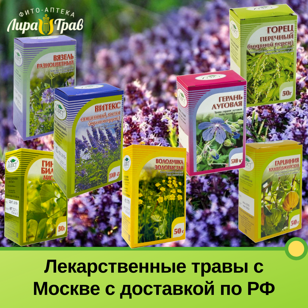Лекарственные травы купить в Москве